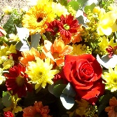 Spring Has Sprung. D E 51